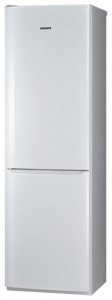 larawan Refrigerator Pozis RD-149, pagsusuri