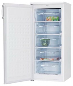 larawan Refrigerator Hansa FZ206.3, pagsusuri