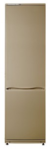 larawan Refrigerator ATLANT ХМ 6026-050, pagsusuri