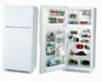 Frigidaire GLTT 20V8 A šaldytuvas šaldytuvas su šaldikliu peržiūra geriausiai parduodamas