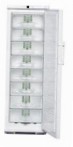 Liebherr G 3123 Frigider congelator-dulap revizuire cel mai vândut