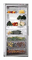 larawan Refrigerator Gaggenau SK 211-140, pagsusuri