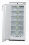 Liebherr GSS 2726 Refrigerator aparador ng freezer pagsusuri bestseller
