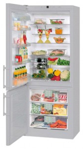 larawan Refrigerator Liebherr CNesf 5013, pagsusuri