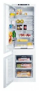 larawan Refrigerator Blomberg KSE 1551 I, pagsusuri