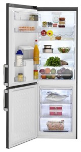 larawan Refrigerator BEKO CS 134021 DP, pagsusuri