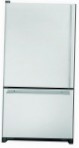 Amana AB 2026 LEK S šaldytuvas šaldytuvas su šaldikliu peržiūra geriausiai parduodamas