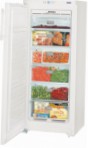 Liebherr GNP 2303 Refrigerator aparador ng freezer pagsusuri bestseller