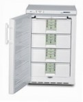 Liebherr GS 1323 Холодильник морозильник-шкаф обзор бестселлер