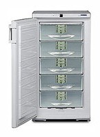 larawan Refrigerator Liebherr GSP 2226, pagsusuri