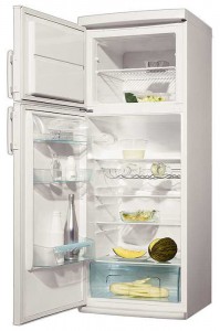 larawan Refrigerator Electrolux ERD 3020 W, pagsusuri