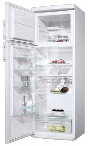 larawan Refrigerator Electrolux ERD 3420 W, pagsusuri