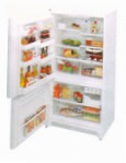 Amana BX 518 Chladnička chladnička s mrazničkou preskúmanie najpredávanejší