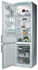 larawan Refrigerator Electrolux ERB 9044, pagsusuri