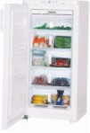 Liebherr GN 1956 Refrigerator aparador ng freezer pagsusuri bestseller