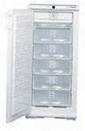 Liebherr GSN 2423 Холодильник морозильник-шкаф обзор бестселлер