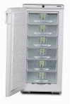 Liebherr GSP 2726 Холодильник морозильник-шкаф обзор бестселлер