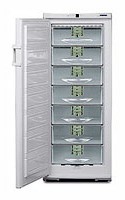larawan Refrigerator Liebherr GSP 3126, pagsusuri