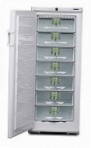 Liebherr GSP 3126 Холодильник морозильник-шкаф обзор бестселлер