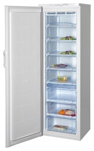 larawan Refrigerator BEKO FN 129920, pagsusuri