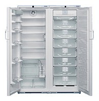 larawan Refrigerator Liebherr SBS 74S2, pagsusuri
