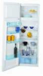 BEKO DSA 28010 Hladilnik hladilnik z zamrzovalnikom pregled najboljši prodajalec