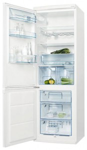 larawan Refrigerator Electrolux ERB 36233 W, pagsusuri