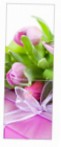 Snaige RF36SM-S10021 36-5 Refrigerator freezer sa refrigerator pagsusuri bestseller