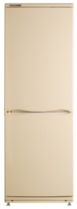 larawan Refrigerator ATLANT ХМ 4012-081, pagsusuri