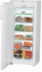 Liebherr GN 2303 šaldytuvas šaldiklis-spinta peržiūra geriausiai parduodamas