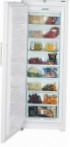 Liebherr GNP 4156 Lednička mrazák skříň přezkoumání bestseller