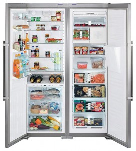 larawan Refrigerator Liebherr SBSes 7273, pagsusuri