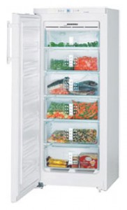 larawan Refrigerator Liebherr GN 2356, pagsusuri