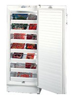 larawan Refrigerator Vestfrost BFS 275 X, pagsusuri