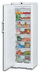larawan Refrigerator Liebherr GN 28530, pagsusuri
