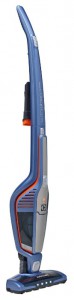 larawan Vacuum Cleaner Electrolux ZB 3010, pagsusuri