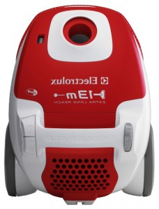 larawan Vacuum Cleaner Electrolux ZE 320, pagsusuri