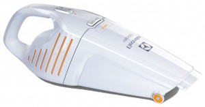larawan Vacuum Cleaner Electrolux ZB 5003, pagsusuri