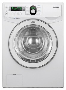 fotoğraf çamaşır makinesi Samsung WF1602YQC, gözden geçirmek