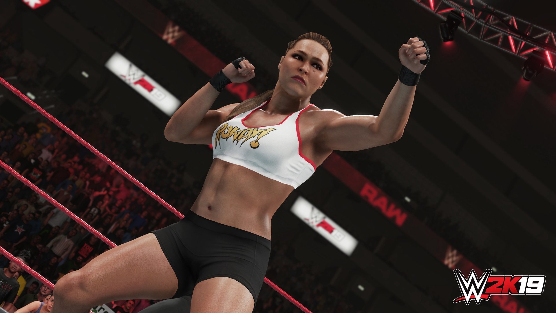 WWE 2K19 PlayStation 4 Account pixelpuffin.net Activation Link 15.81$