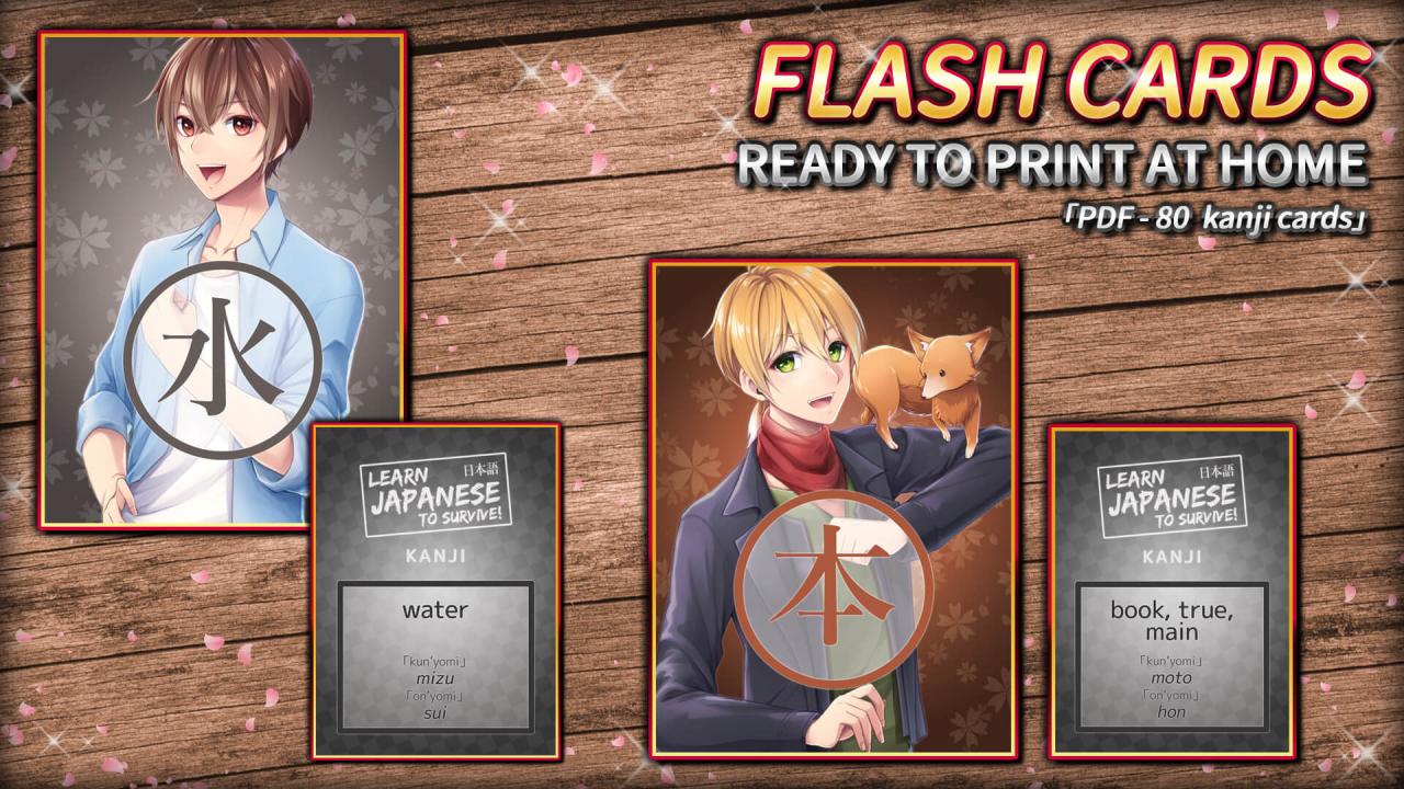 Learn Japanese To Survive! Kanji Combat - Flash Cards DLC Steam CD Key 0.95$