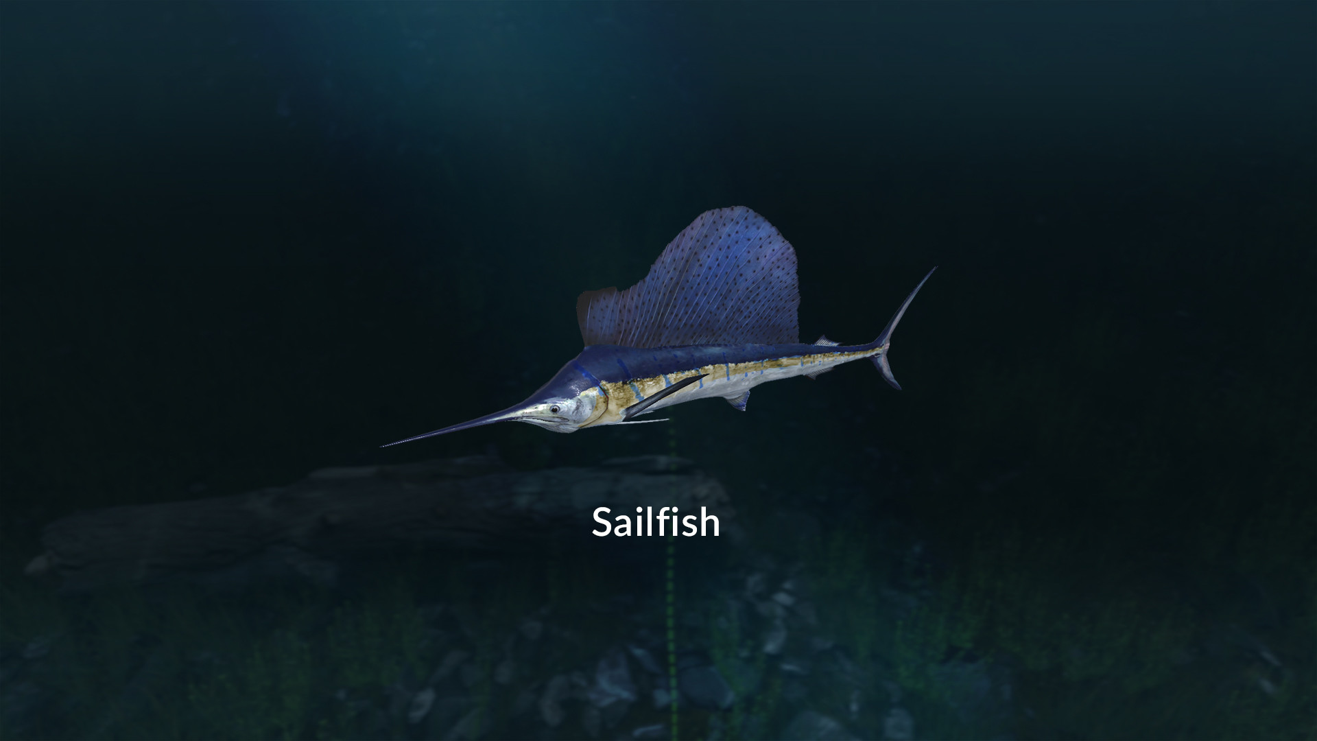 Ultimate Fishing Simulator - New Fish Species DLC Steam CD Key 1.65$
