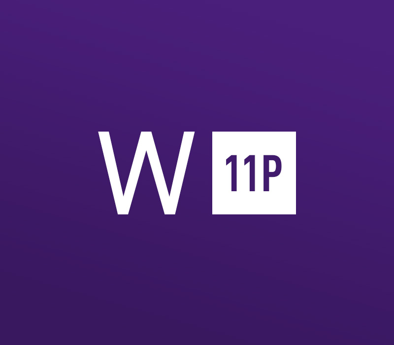 Windows 11 Professional OEM Key - API 20.89$