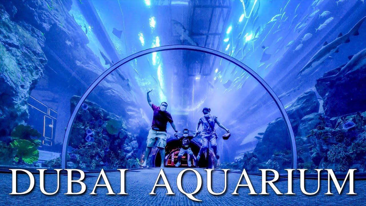Dubai Aquarium & Underwater Zoo 50 AED Gift Card AE 16.02$
