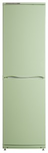 larawan Refrigerator ATLANT ХМ 6025-082, pagsusuri