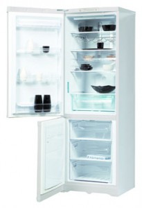 larawan Refrigerator Hotpoint-Ariston RMBDA 1185.1 F, pagsusuri