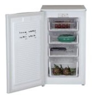larawan Refrigerator WEST FR-1001, pagsusuri