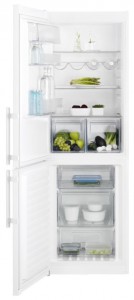 larawan Refrigerator Electrolux EN 93441 JW, pagsusuri