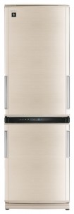 larawan Refrigerator Sharp SJ-WP320TBE, pagsusuri