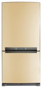Bilde Kjøleskap Samsung RL-62 ZBVB, anmeldelse